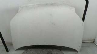 Recambio de capo para citroën berlingo 2002-2011 1.9 d 600 furg. referencia OEM IAM 7901K5 7901K5 