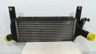 Recambio de intercooler para nissan navara pick-up (d40m) 2005- doble cab fe 4x4 referencia OEM IAM 14461EB360 14461EB360 