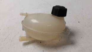 Recambio de deposito expansion para dacia sandero 2012- 0.9 tce cat referencia OEM IAM 217107259R 217107259R  2