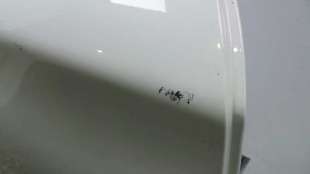 Recambio de puerta trasera derecha para bmw serie 1 berlina (e81/e87) 2004-2012 118d referencia OEM IAM 41527191018 41527191018  2