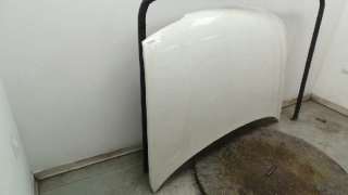 Recambio de capo para citroën berlingo 1996-2002 1.9 600 d furg. referencia OEM IAM 7901G0 7901G0 