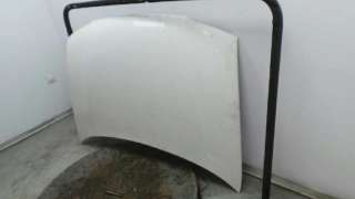 Recambio de capo para citroën berlingo 1996-2002 1.9 600 d furg. referencia OEM IAM 7901G0 7901G0 
