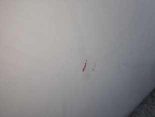 Recambio de capo para citroën berlingo 2002-2011 hdi 75 600 first kasten referencia OEM IAM 7901P7 7901P7  2