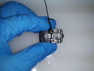 Recambio de mando elevalunas trasero derecho para ford s-max (ca1) 2006-2016 limited edition referencia OEM IAM 1428969 6M2T1452 2