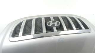 Recambio de capo para hyundai terracan (hp) 2001-2007 2.9 crdi gls referencia OEM IAM 79000H1211 79000H1211 
