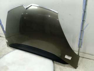 Recambio de capo para citroën c4 picasso 2007-2013 exclusive plus referencia OEM IAM 7901N7 7901N7 