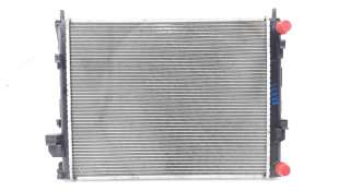 Recambio de radiador agua para nissan primastar (x83) 2002-2006 caja cerrada batalla corta 2,76t referencia OEM IAM 8200411166 6