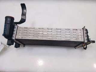 Recambio de intercooler para ford focus lim. (cb8) 2010-2015 titanium referencia OEM IAM 1778294 1778294 