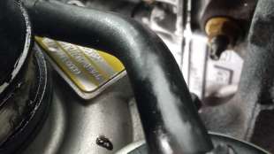 Recambio de motor completo para ford fiesta (cb1) 2008-2013 trend referencia OEM IAM F6JD F6JD  2