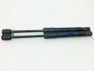 Recambio de amortiguadores capo para bmw serie 3 lim. (f30) 2011-2015 318d referencia OEM IAM 51237239233 51237239233  2