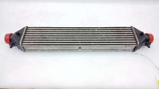 Recambio de intercooler para fiat doblo autobús (263_) 2009- 1.6 d multijet (263axd1b) referencia OEM IAM 51833975 896255500 