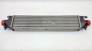 Recambio de intercooler para fiat doblo autobús (263_) 2009- 1.6 d multijet (263axd1b) referencia OEM IAM 51833975 896255500 