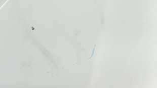 Recambio de capo para fiat grande punto (199_) 2005- 1.3 d multijet referencia OEM IAM 51701140 51701140  2