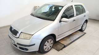 skoda fabia i (6y2) 1999-2008 del año 2007