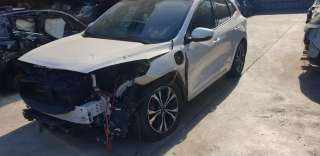 ford kuga 2019- del año 2020