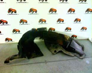 Recambio de paso rueda trasero derecho para land rover freelander (ln) 2000-2003 2.0 td4 cat referencia OEM IAM   6661 2