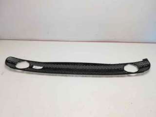Recambio de rejilla paragolpes central para volkswagen new beetle (9c1/1c1) 1998-2012 referencia OEM IAM 1C0807681C01C 107233314