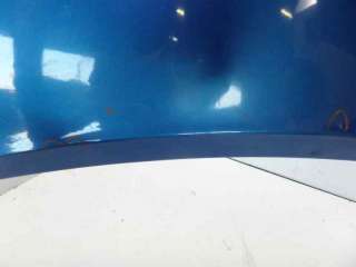 Recambio de capo para renault scenic ii 2003-2009 luxe dynamique referencia OEM IAM 7751474289 109194430 RN0323100