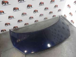 Recambio de capo para renault scenic ii 2003-2009 confort expression referencia OEM IAM 7751474289 RN0323100 109194430