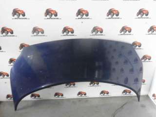Recambio de capo para renault scenic ii 2003-2009 confort expression referencia OEM IAM 7751474289 RN0323100 109194430