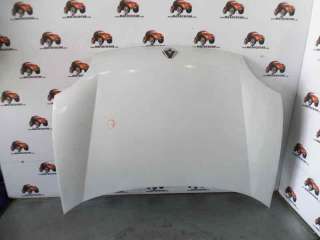 Recambio de capo para renault kangoo (f/kc0) 1997-2005 rt referencia OEM IAM 7751468946 RN9163100 109190330