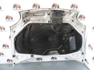 Recambio de capo para renault kangoo (f/kc0) 1997-2005 rt referencia OEM IAM 7751468946 RN9163100 109190330