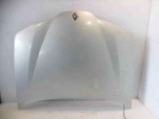 Recambio de capo para renault laguna ii (bg0) 2001-2007 authentique referencia OEM IAM 7751471641 RN0843100 109193730