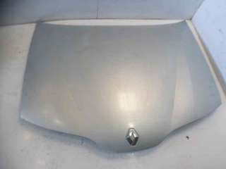 Recambio de capo para renault laguna ii (bg0) 2001-2007 authentique referencia OEM IAM 7751471641 RN0843100 109193730