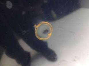 Recambio de capo para peugeot 607 (s1) 2000-2004 2.2 hdi fap cat referencia OEM IAM 7901L2   2