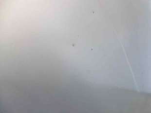 Recambio de capo para fiat punto berlina (188) 2002-2003 1.2 cat referencia OEM IAM 46525153 109090830 FT1333100 2