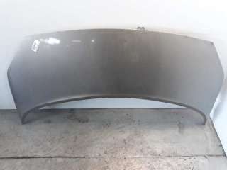 Recambio de capo para renault scenic ii 2003-2009 emotion referencia OEM IAM 7751474289 109194430 