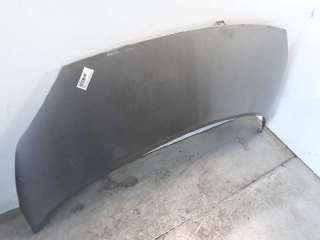 Recambio de capo para renault scenic ii 2003-2009 emotion referencia OEM IAM 7751474289 109194430 