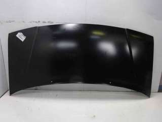 Recambio de capo para fiat scudo (222) 2004- referencia OEM IAM 7901K8 109094730 FT9223100
