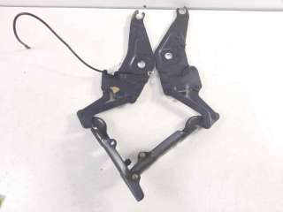 Recambio de retenedor puerta para bmw x5 (e70) 2006-2013 xdrive30d referencia OEM IAM 720862801  