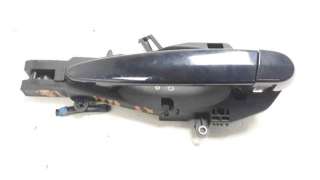 Recambio de maneta exterior trasera izquierda para bmw x5 (e70) 2006-2013 3.0sd referencia OEM IAM 51217207561  