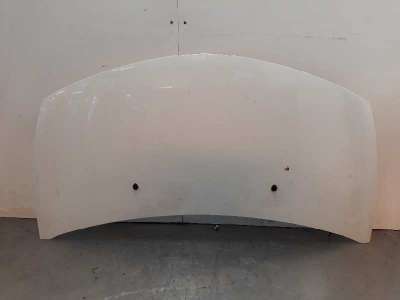Recambio de capo para renault clio iii 2005-2016 1.2 referencia OEM IAM 7751476113 109198730 RN3273100