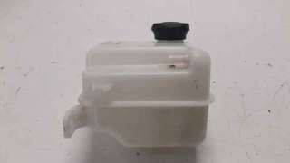 Recambio de deposito expansion para kia carens ( ) 2013- x-tech referencia OEM IAM 254303W000  