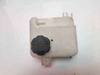 Recambio de deposito expansion para kia carens ( ) 2013- 1.7 crdi cat referencia OEM IAM 254303W000  