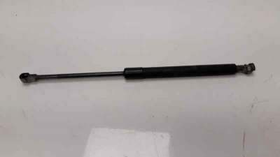 Recambio de amortiguadores capo para bmw serie 1 berlina (e81/e87) 2004-2012 116i referencia OEM IAM   