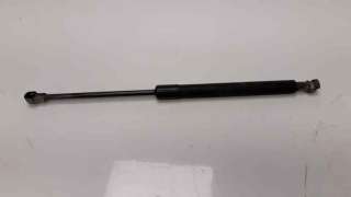 Recambio de amortiguadores capo para bmw serie 1 berlina (e81/e87) 2004-2012 116i referencia OEM IAM   