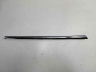 Recambio de molduras traseras para volkswagen passat variant (3c5) 2005-2010 referencia OEM IAM 3C9807459A  VG0541274