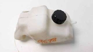 Recambio de deposito expansion para kawasaki z 800 2012-2017 z 800 referencia OEM IAM 430780559  