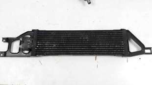 Recambio de radiador caja cambios para mercedes-benz clase a (w169) 2004-2012 a 200 (169.033) referencia OEM IAM 1695000700  