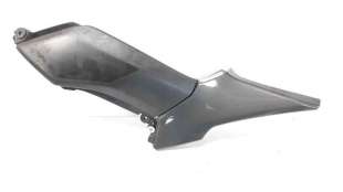 Recambio de moldura para kawasaki z 900 2016- z 900 referencia OEM IAM 360010658  
