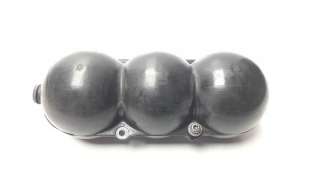 Recambio de depresor freno / bomba vacio para audi r8 (423) 2007- 4.2 fsi referencia OEM IAM 420131541  