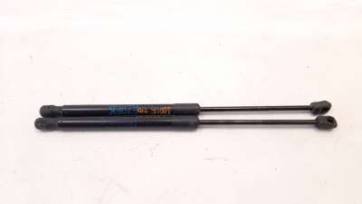 Recambio de amortiguadores capo para bmw x5 (e70) 2006-2013 3.0d referencia OEM IAM 51327148346  