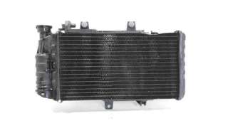 Recambio de radiador agua para bmw f 700 gs 2013-2018 f 700 gs referencia OEM IAM 17117678284  
