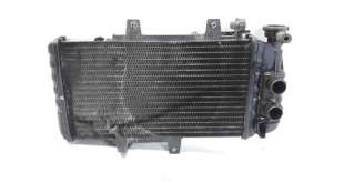 Recambio de radiador agua para bmw f 700 gs 2013-2018 f 700 gs referencia OEM IAM 17117678284   2