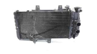 Recambio de radiador agua para bmw f 700 gs 2013-2018 f 700 gs referencia OEM IAM 17117678284  