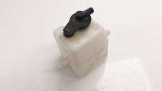 Recambio de deposito expansion para benelli trk 502 2016- trk 502 referencia OEM IAM 06111P250000  